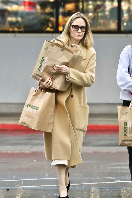 ANGELINA JOLIE Out for a Grocery Shopping in Los Angeles 02/13/2025