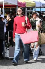 AVA MICHELLE Out Shopping at Studio City Farmer