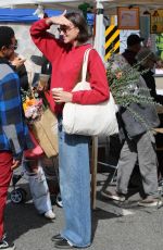 AVA MICHELLE Out Shopping at Studio City Farmer