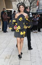 BRONWYN NEWPORT Arrives at Carolina Herrera Fashion Show in New York 02/10/2025