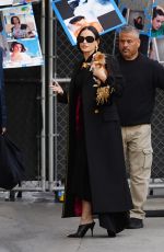 DEMI MOORE Arrives at Jimmy Kimmel Live with Her Dog in Hollywood 02/04/2025