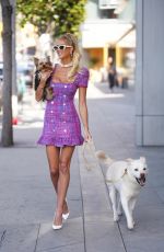 EMMA HERNAN Takes Her Dogs for a Walk Outside Oppenheim Group Office in West Hollywood 02/18/2025