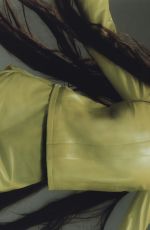 HAILEE STEINFELD for Who What Wear, February 2025