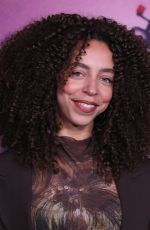 HAYLEY LAW at Love Me Special Screening in Los Angeles 01/28/2025