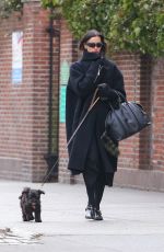 IRINA SHAYK Out with Her Dog in New York 02/20/2025