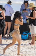 KIM KARDASHIAN in a Zebra Animal Print Bikini at a Beach Photoshoot in Bahamas 02/19/2025