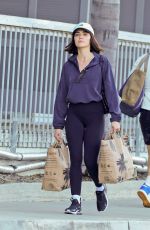 LUCY HALE Out for Grocery Shopping in Sherman Oaks 02/26/2025