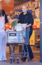 MALIN AKERMAN Out Shopping at Lazy Acres in Los Feliz 02/02/2025