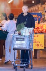 MALIN AKERMAN Out Shopping at Lazy Acres in Los Feliz 02/02/2025