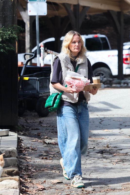 MALIN AKERMAN Out Shopping in Los Angeles 02/16/2025