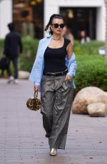 NATASHA BLASICK Out Shopping at Erewhon and Madewell in Studio City 02/04/2025