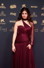 SARA SALAMO at 39th Goya Cinema Awards in Granada 02/08/2025