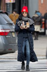 SARAH SILVERMAN Out for a Beverage in New York City 02/03/2025