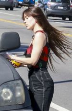 SCOUT WILLIS Out for Lunch in Los Feliz 02/09/2025