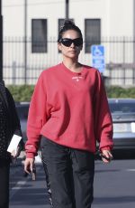 SHAY MITCHELL Out for Grocery Run in Los Angeles 02/04/2025