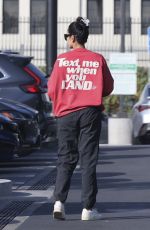 SHAY MITCHELL Out for Grocery Run in Los Angeles 02/04/2025