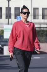SHAY MITCHELL Out for Grocery Run in Los Angeles 02/04/2025