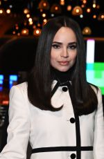 SOFIA CARSON at 31st Annual Screen Actors Guild Awards Media Preview and Menu Reveal in Los Angeles 02/20/2025