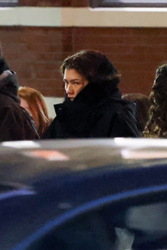ZENDAYA Out with Family and Friends in Boston 12/08/2024