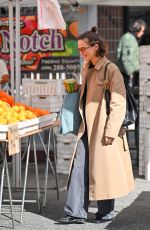 ZOEY DEUTCH Out with a Friend at the Studio City Farmers Market 02/09/2025