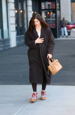 ALEXANDRA DADDARIO Out and About in New York 03/08/2025