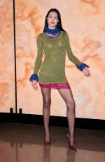 AMELIA HAMLIN at Saint Laurent Womenswear Fall/Winter 2025/26 Show at Paris Fashion Week 03/11/2025