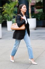 ANNA SAWAI Leaves W Hotel in Hollywood 02/28/2025