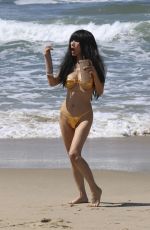 BAI LING in Bikini at Hermosa Beach 03/21/2025