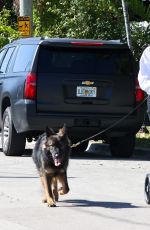 GISELE BUNDCHEN Out with Her Baby and Dogs in Miami Beach 03/18/2025