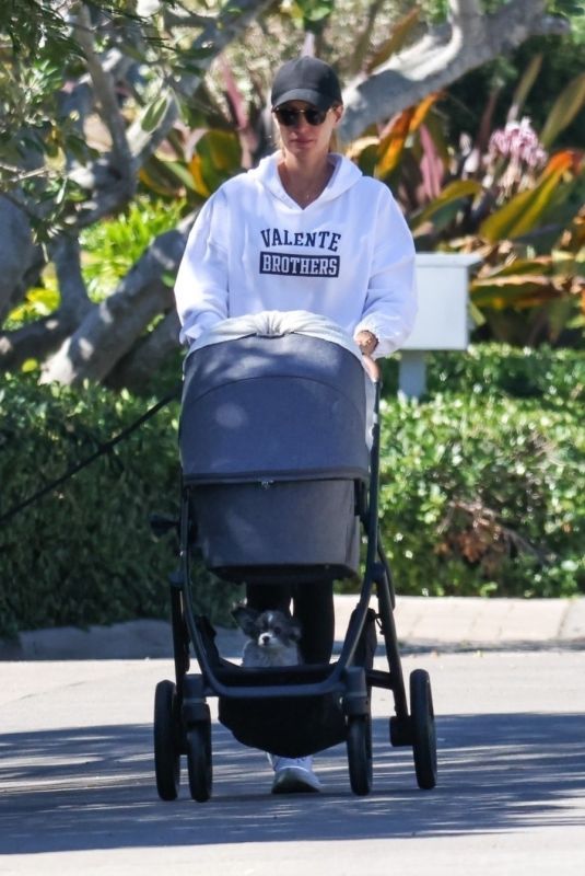 GISELE BUNDCHEN Out with Her Baby and Dogs in Miami Beach 03/18/2025