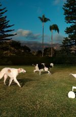 GWYNETH PALTROW for Vanity Fair Magazine, April 2025