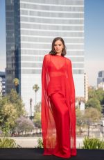 HAILEE STEINFELD at Sinners Photocall in Mexico City 03/30/2025