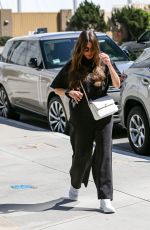SOFIA VERGARA Out and About in Los Angeles 03/24/2025
