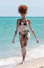WINNIE HARLOW inBikini at a Beach in Miami 03/20/2025