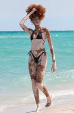 WINNIE HARLOW inBikini at a Beach in Miami 03/20/2025