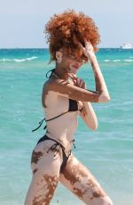 WINNIE HARLOW inBikini at a Beach in Miami 03/20/2025