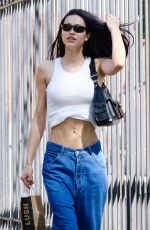 AMELIA HAMLIN Out and About in New York City 04/28/2025