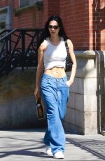AMELIA HAMLIN Out and About in New York City 04/28/2025