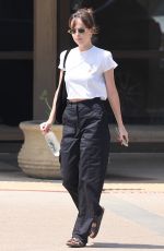 DAKOTA JOHNSON Leaves a Nail Salon in Malibu 04/06/2025