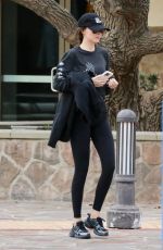 DAKOTA JOHNSON Out and About in Malibu 04/16/2025