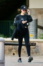 DAKOTA JOHNSON Out and About in Malibu 04/16/2025