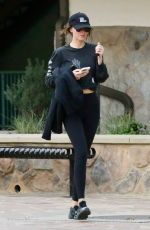 DAKOTA JOHNSON Out and About in Malibu 04/16/2025