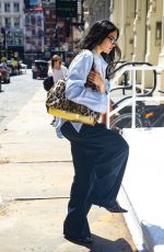 DUA LIPA Out and About in New York City 04/29/2025