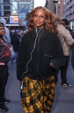 JUSTINE SKYE Arrives at Knicks Game at Madison Square Garden in New York City 04/08/2025