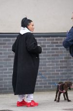 KATIE PRICE Out with Her New Dog in Darlington 04/21/2025