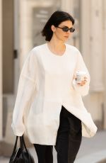 KENDALL JENNER Out and About in Paris 04/27/2025