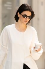 KENDALL JENNER Out and About in Paris 04/27/2025