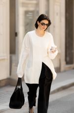 KENDALL JENNER Out and About in Paris 04/27/2025