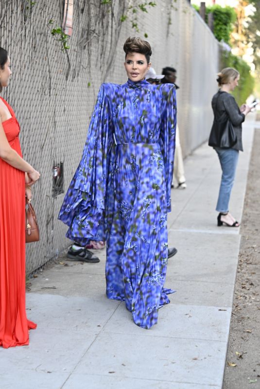 LISA RINNA Arrives at Fashion Trust U.S Awards 2025 in Los Angeles 04/08/2025