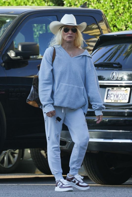 NICOLETTE SHERIDAN Out Shopping in Calabasas 04/09/2025